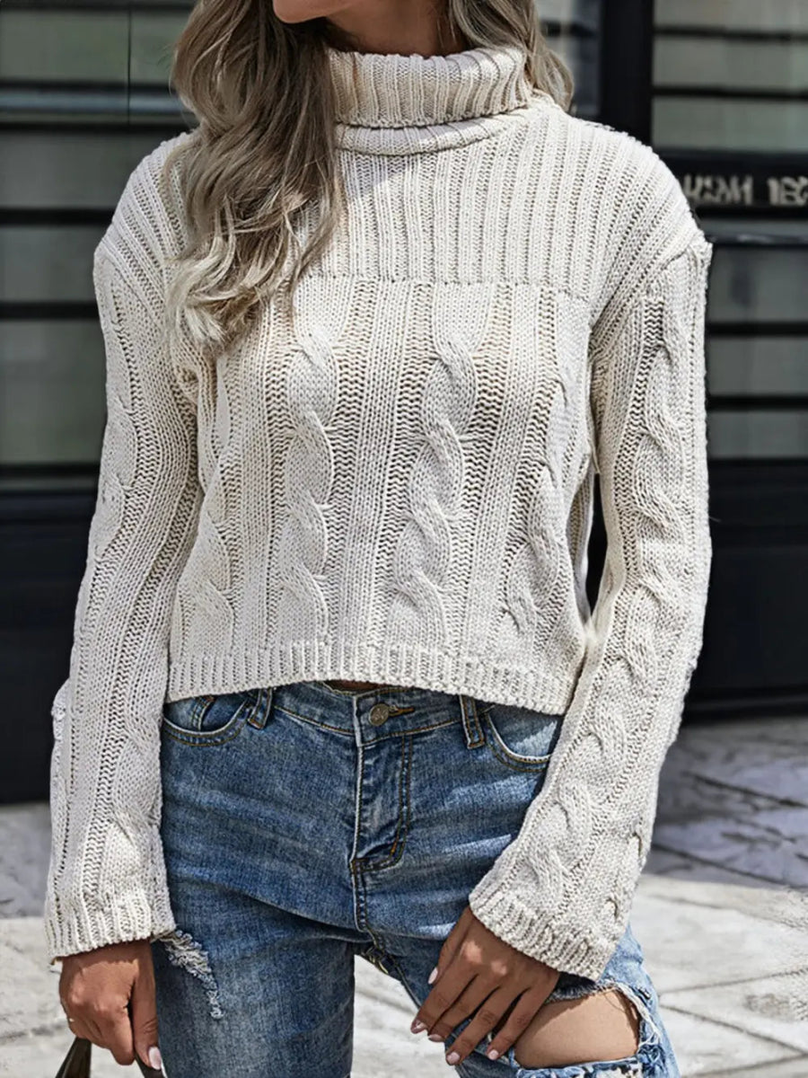 Cable - Knit Turtleneck Sweater - CELIVINE